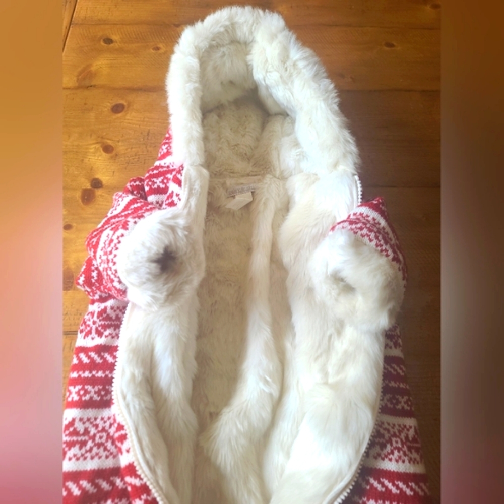 Restoration Hardware Baby warm babybear Snow winter cozy suit